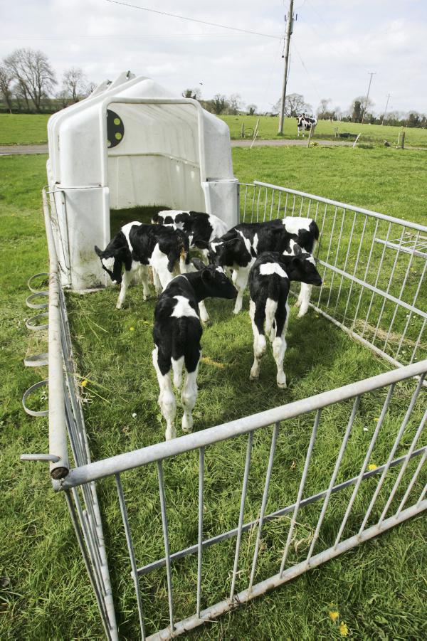 Dairy farming management notes 03 January 2014 Premium