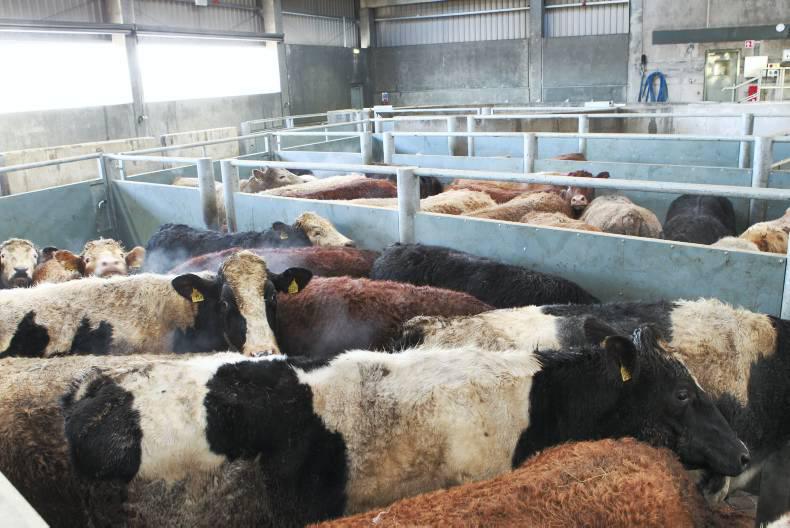 ABP to grow its empire with Slaney deal 31 August 2016 Premium