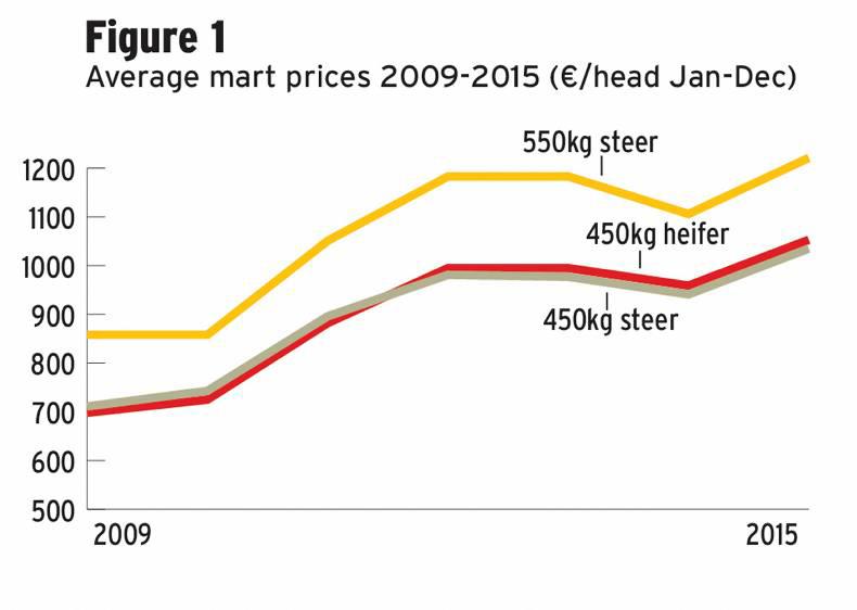 2015 brings record live cattle prices 30 December 2015 Premium