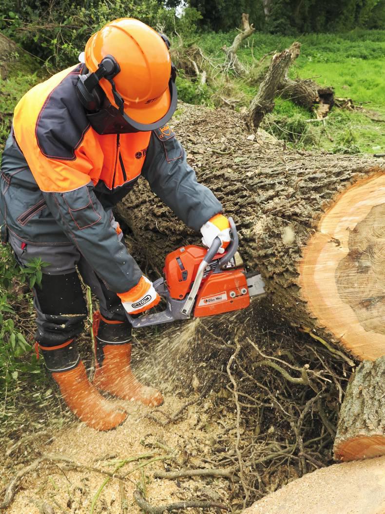 How well do you know your chainsaw? 15 March 2016 Free