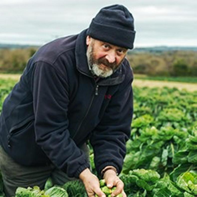 Anthony Weldon farming Brussels sprouts