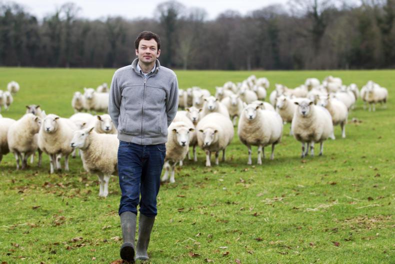 My farming week Thomas Cosby, Stradbally, Co Laois 11 January 2017 Free