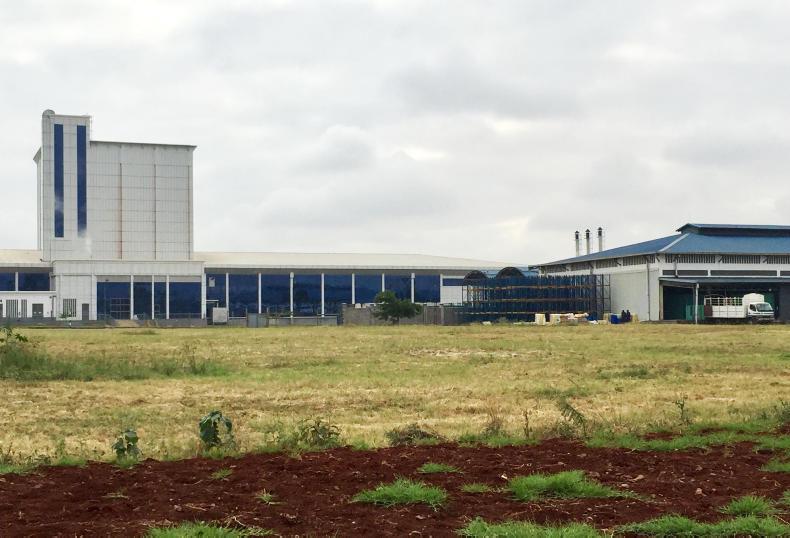 Watch and listen building a dairy industry from the ground up in Kenya