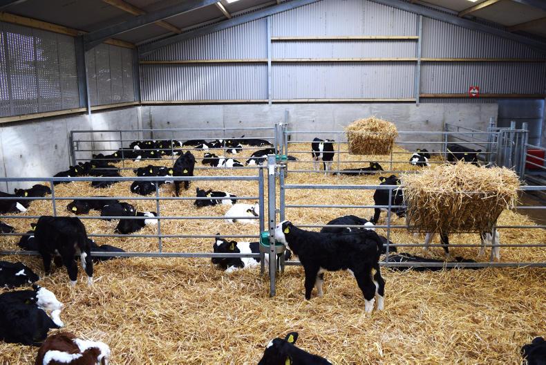 House for 100 calves in Waterford Premium