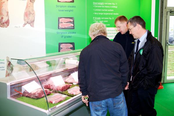 Farmer writes: What's the fear of specs in beef?