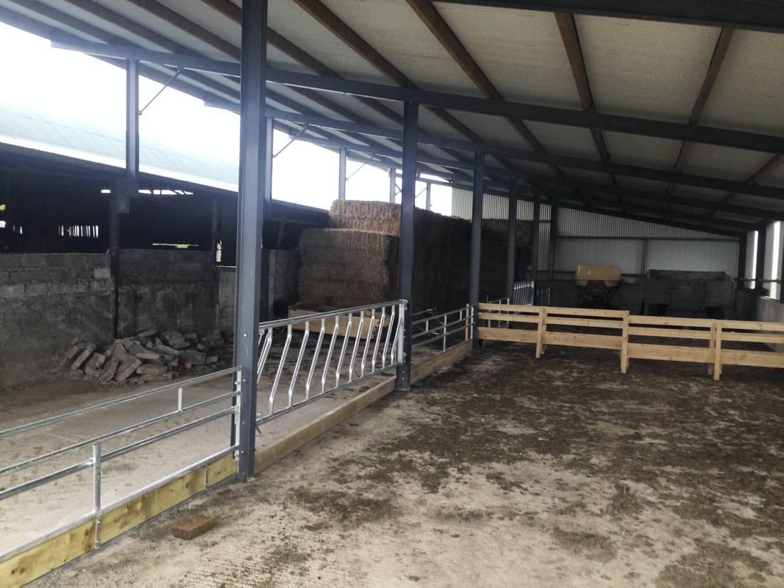 Farmer writes: Kitting out a shed with new barriers to 