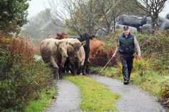 Farmers Journal weekly podcast: Mart prices, weather and farming in Malawi