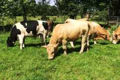 Farmer Writes: Where will the price race to the bottom end? 