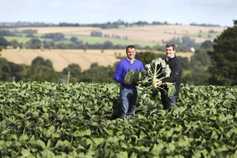 Strange choices within Bord Bia board