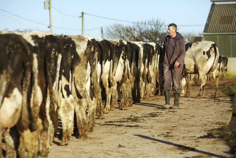 Agricultural Jobs In Ireland And Abroad 30 November 0001 Free