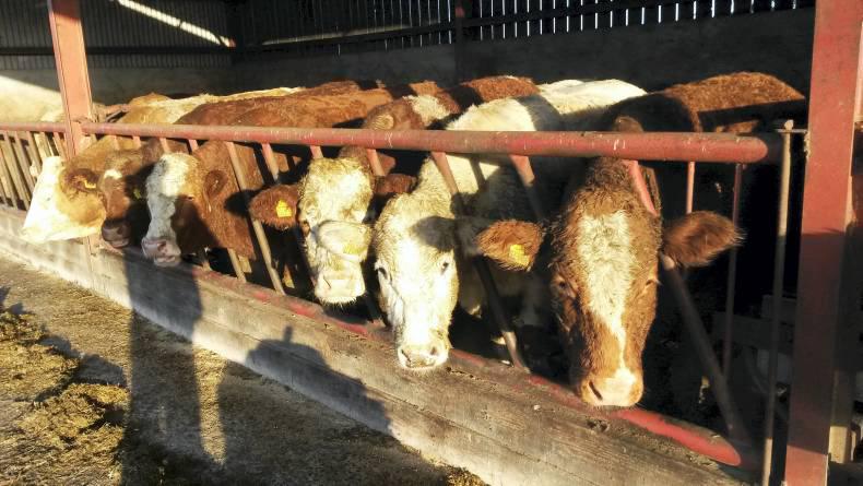 Simple Steps To A 10 Minute Public Tenders