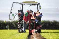 Irish Farmers Journal breakfast news: Ploughing 2017 and ABP-Slaney