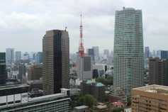 Trump confirms TPP exit                        