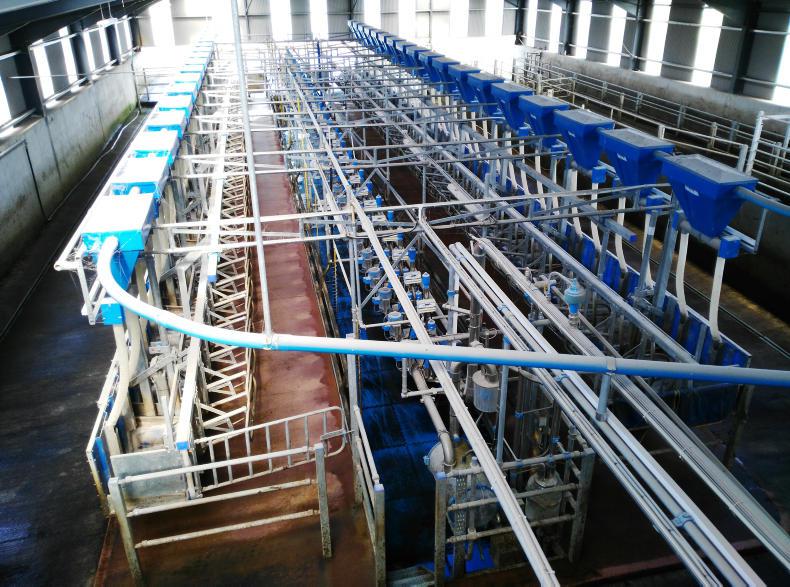 Watch Managing 300 dairy cows with ease Premium