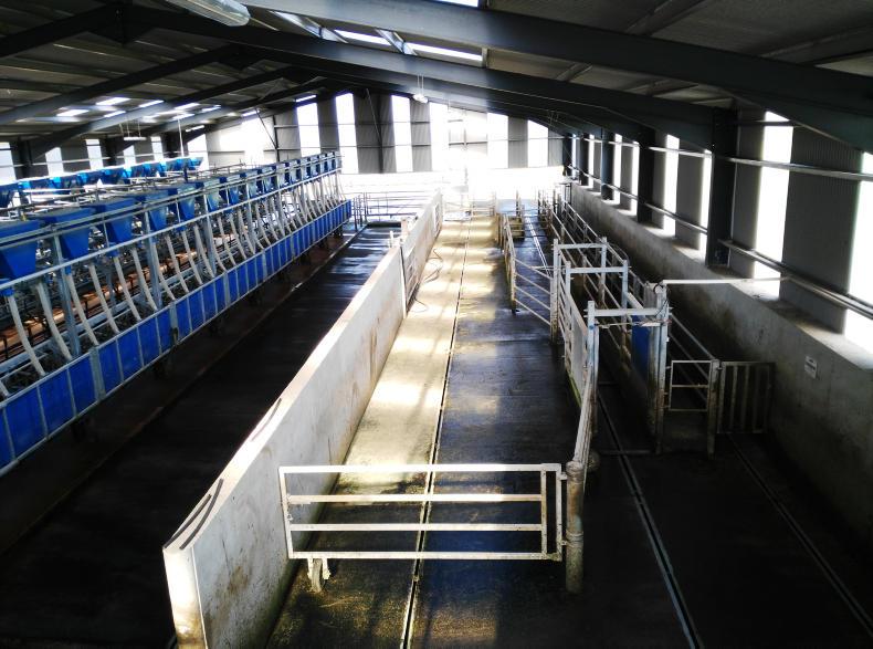 Watch Managing 300 dairy cows with ease Premium