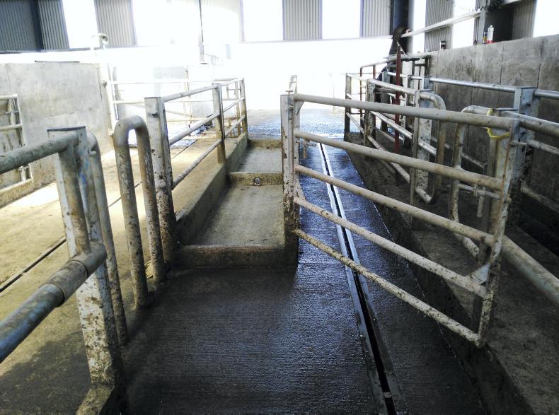 Watch Managing 300 dairy cows with ease Premium