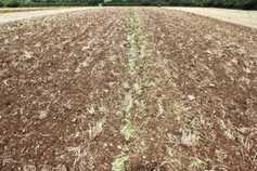 End of dry spell could trigger new challenges