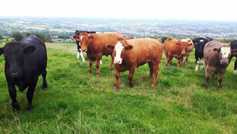 Do your sums before buying stores