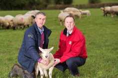 SuperValu predicts €17m in sales of spring lamb this year