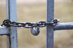 Two separate incidents see 30 cattle stolen in NI