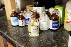 Thieves steal supplies worth £11,000 from Armagh vet