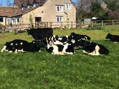 Farmer writes: a good drafting gate is more exciting than a general election