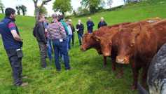 Next chapter in my farming journey