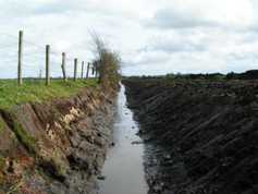 Drained land could still be disadvantaged – Creed