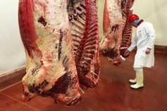 Scope to review kill charges in NI