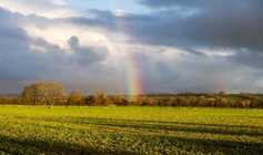 Weather takes toll on fields and farmers