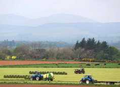 Farm Profit Programme:  what to do with excess grass at Drumforber?