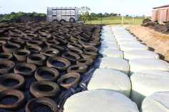 Farmer writes: silage season yields a mixed bag