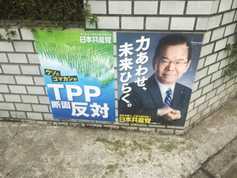 Japanese view of EU trade deal: not as bad as TPP