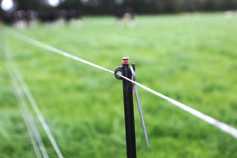 Farmer Writes: reviewing the learnings