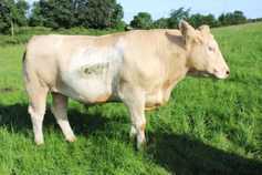 Farmer writes: a full range of farming emotions 