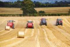 Harvest moves into next phase 