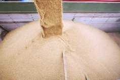 Weather concerns still affecting market direction