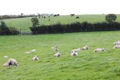 Farmer Writes: the future is farming with a contract