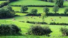 My three sons all want to farm