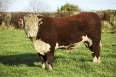 Hereford society offers agricultural bursaries