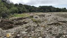 ANC kick-starts a range of payments for farmers this autumn