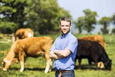 Farm Profit Programme : Silage quality -  what a difference a year makes!