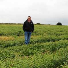 Getting the afforestation programme back on track