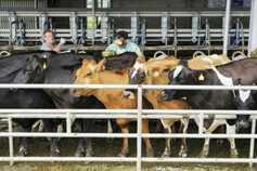 Empty rates as high as 30% after scanning