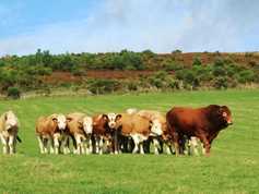 Farm Profit Programme: combining is finished despite challenging conditions