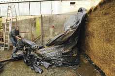 How far will my silage go this winter?
