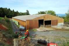 Watch: housing 130 suckler cows in France 