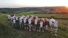 Farmer Writes: history educating the future