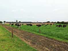 Management notes for this week