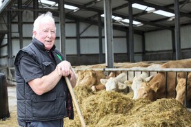 Progressive suckler farming in the heart of the Burren